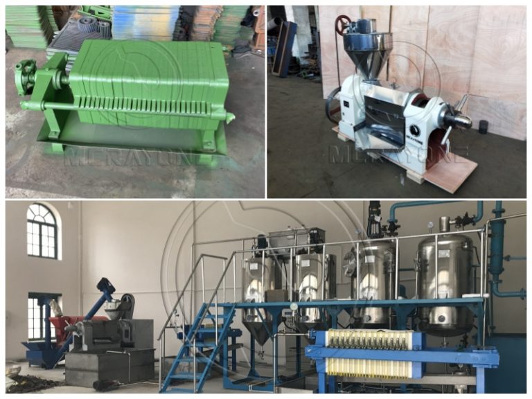 12 TPD of palm kernel production line in Cameroon