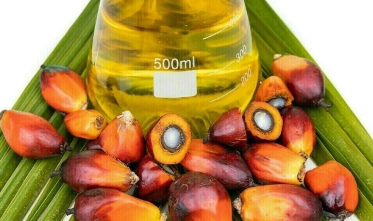 Biofuel Demand Is Influencing The Price Between Soybean Oil And Palm Oil