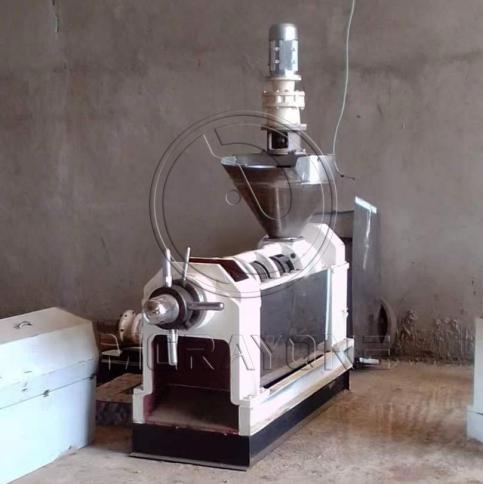 Oil Press Industry Embraces Green Innovation for Sustainable Growth