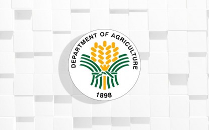 Philippines’ DA ramps up Mindanao palm oil push to cut imports