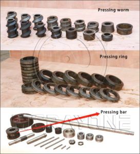 Daily Maintenance and Wear Parts Replacement Guide for Oil Presses