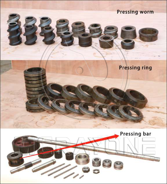Daily Maintenance and Wear Parts Replacement Guide for Oil Presses