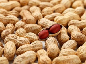 Which Is Better, Corn Oil or Peanut Oil?