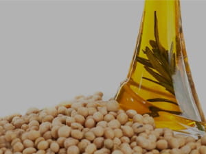 Soybean Oil Pressing and Refining Process