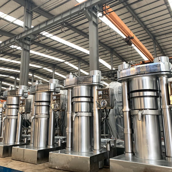 Pine Nut Oil Presser