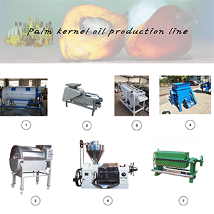 Palm kernel oil production line