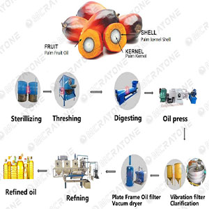 Specific Steps Of Palm Production Line