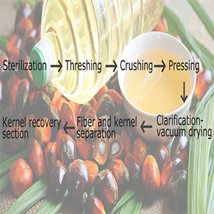 African Palm Oil Processing