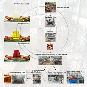 How palm oil is extracted