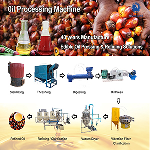 Classification of palm fruit oil