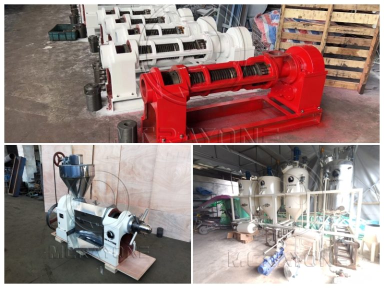 Setting Up 10TPD Multiple Oil Plants In Angola – Palm Oil and Peanut Oil Production Line