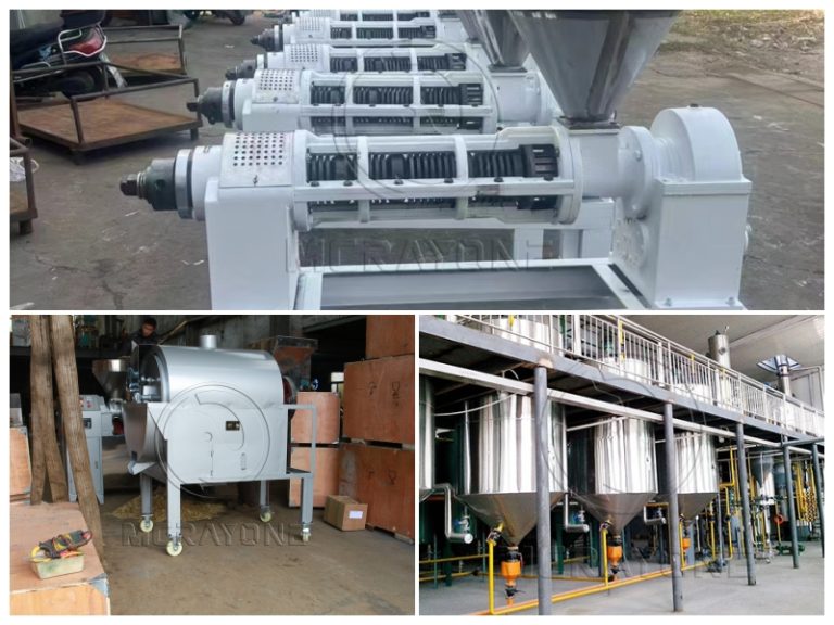 24TPD Moldova Sunflower Seeds Production Line