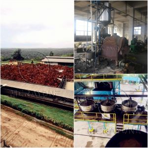 Palm oil extraction process