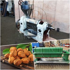 Simple walnut oil production line