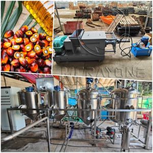 Classic Palm Oil Production Line