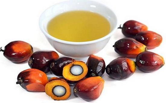 Palm oil production