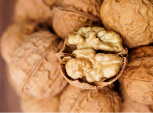 My country’s walnut oil pressing technology has reached the international advanced level