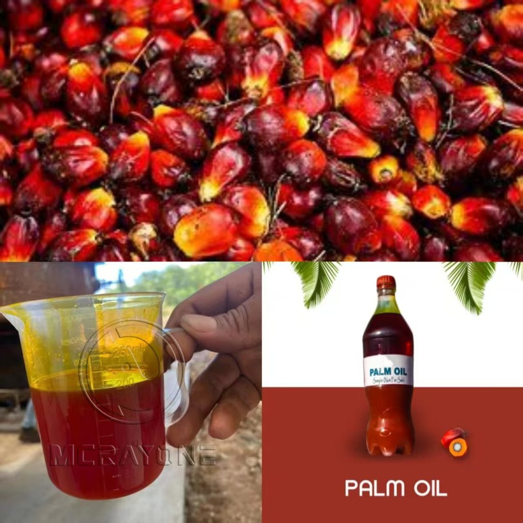 Palm oil production process