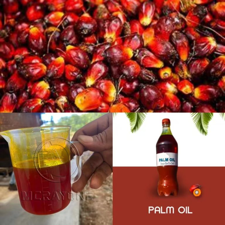 Palm oil production process