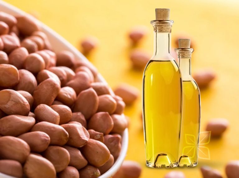 Peanut Oil Excellence: Supported by Our Professional Processing Equipment