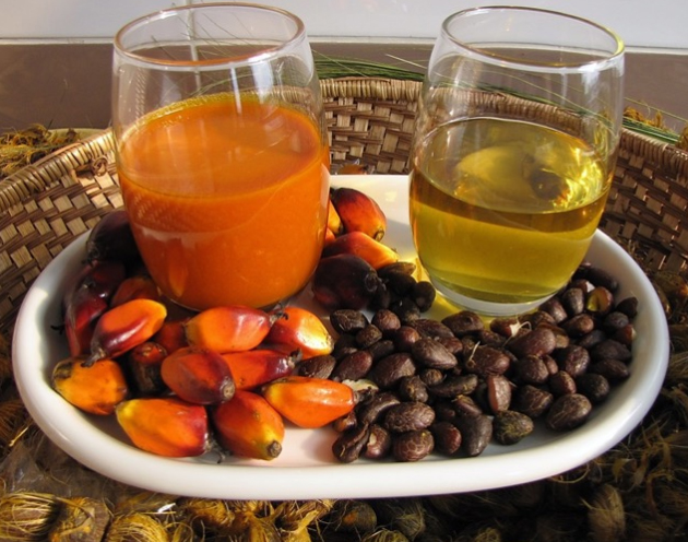 High-Efficiency Oil Presses for Palm Fruit & Palm Kernels