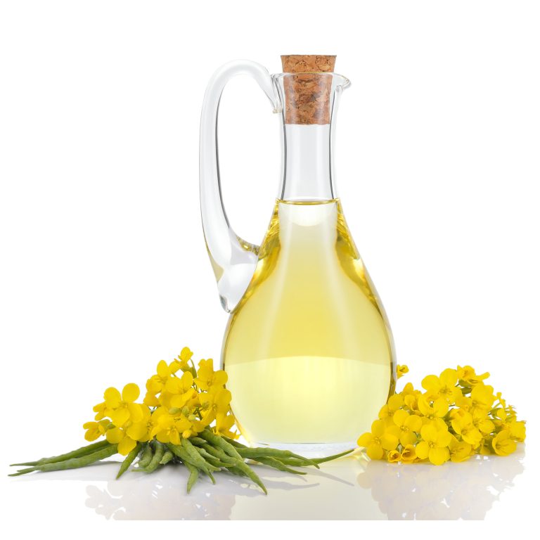 Learn about Rapeseed oil