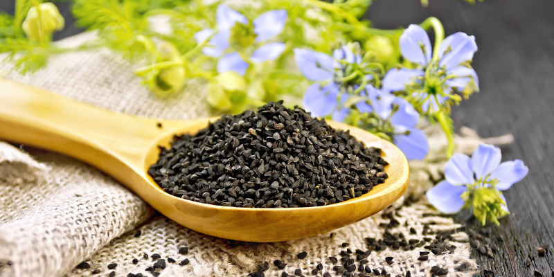 The Nigella sativa seed oil pressing production line