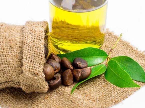 Tea seed oil making process