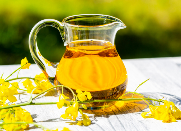 Rapeseed Oil and Canola Oil