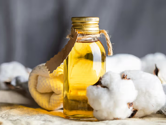 How to Remove Cotton Phenol from Cottonseed Oil