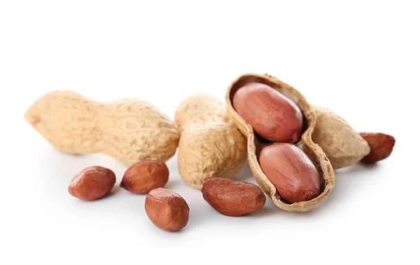 The Importance of Pretreatment Equipment in Oil Extraction from Plant Seeds