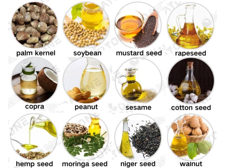 Key Steps to Start Small-Scale Edible Oil Business