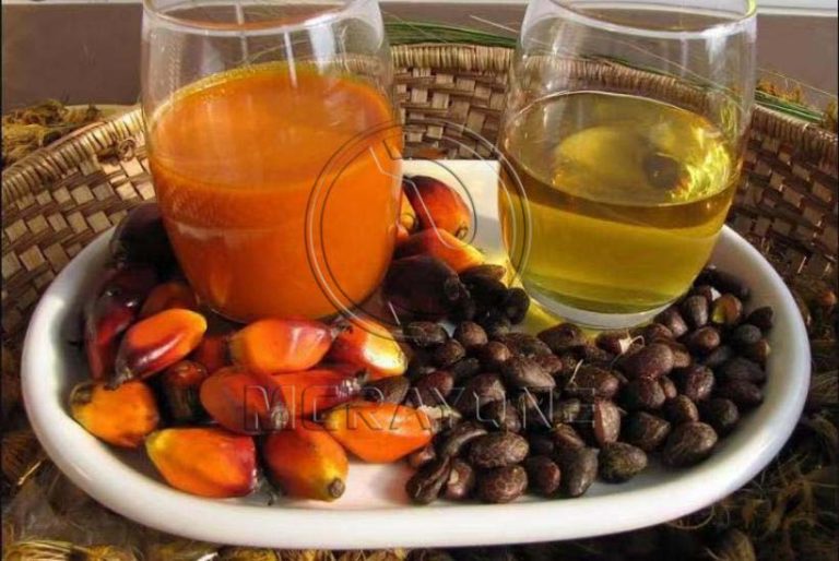 Why is it recommended to press palm fruit within 24 hours of harvesting?